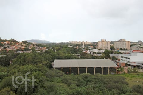 Image 14 - 264964